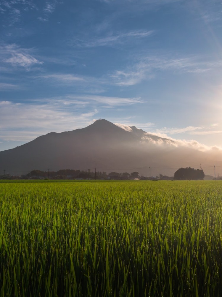 [相片1]稻田与筑波山的合作