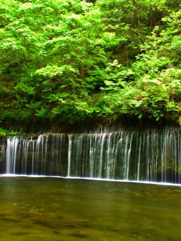 [Image1]My recommended place is Karuizawa shiraitofalls. This beautiful curtain of the waterfall is so beaut