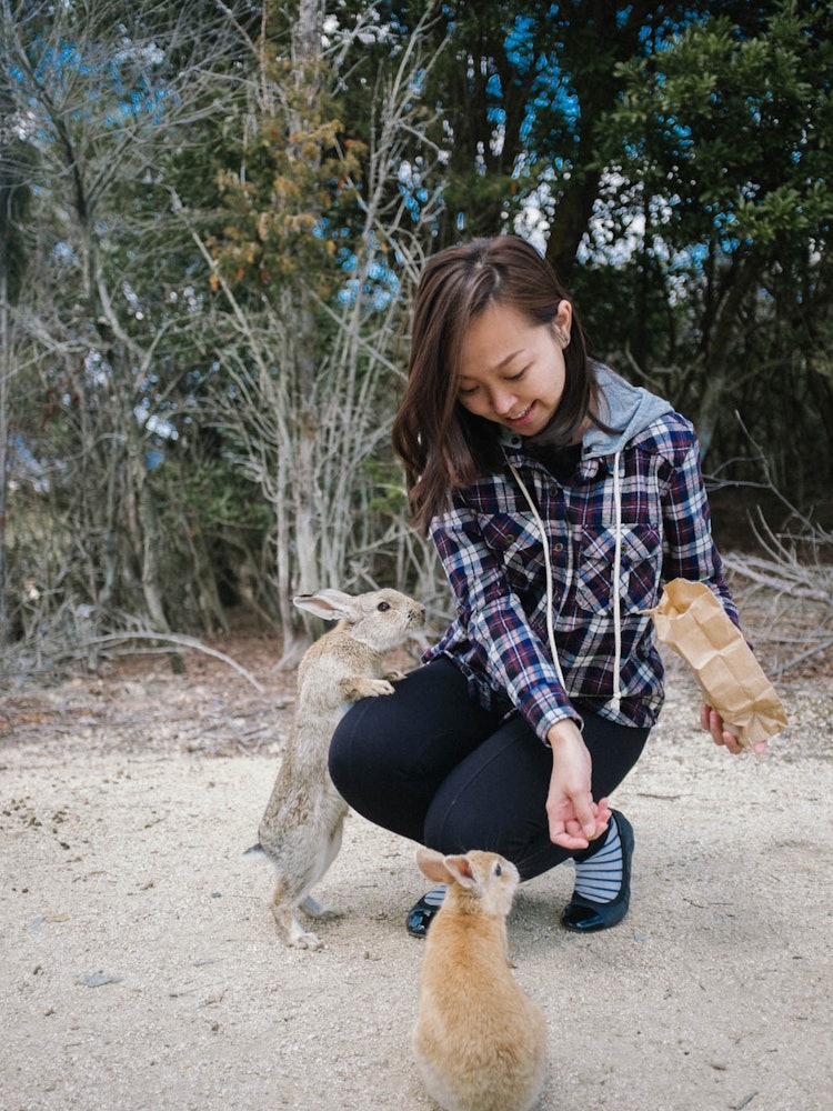 [Image1]Went to Ōkunoshima island. It is a happy place to be. Love playing with the rabbits and exploring th