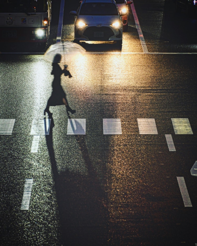 [画像1]広島市　今日はストリートスナップより雨の日の横断歩道で一枚📸車のヘッドライトに照らされた横断歩道を歩く歩行者のシルエットを入れて撮影📸伸びる影も良かったです。