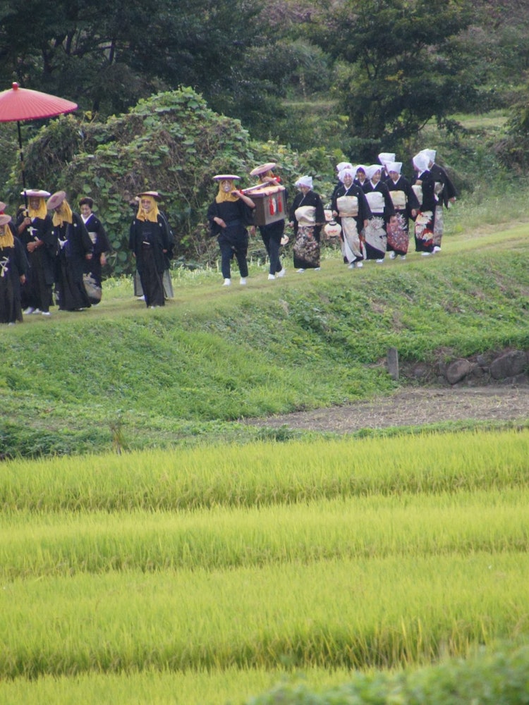 [画像1]日本の各地に残る花嫁行列です。 最近は目にすることも少なくなりました
