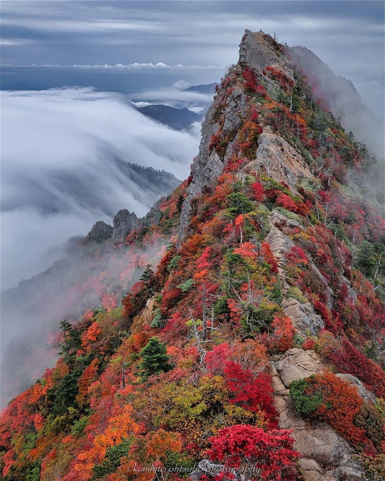 [Image1].＊＊＊「Mt. Ishizuchi dyed in autumn colors」Location : Mt. Ishizuchi, Ehime Prefecture（Mt. Ishizuchi, E