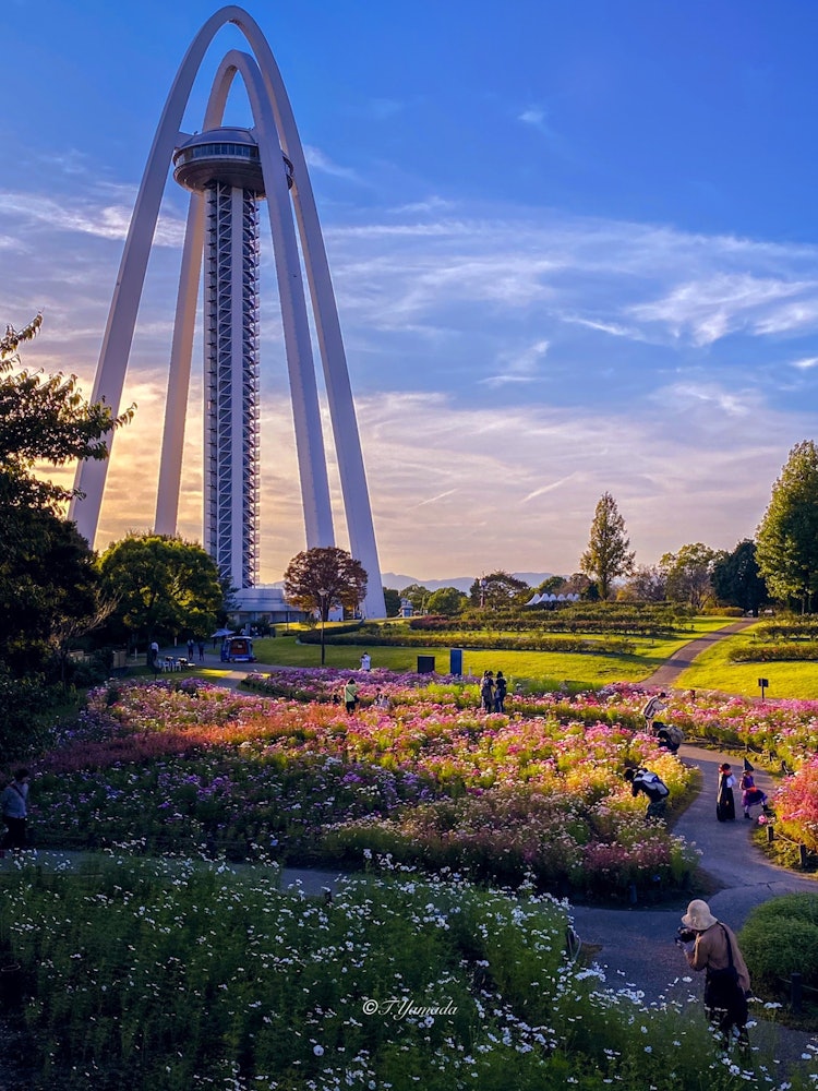 [Image1]Autumn spots.138 Tower Park. In autumn, colorful cosmos blooms under the arch tower, making it a spo