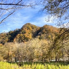 [画像2]【大樹町内の紅葉が見頃です✨】「坂下仙境」「渓石橋」等の紅葉スポットをはじめ、町内の紅葉が見頃を迎えています。何気ないドライブ中にも、思いがけない良い景色が見られるかもしれません！ぜひ秋を感じに行って