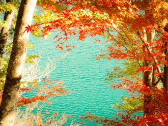 [相片1]將奧多摩湖的秋天烙印在眼裡