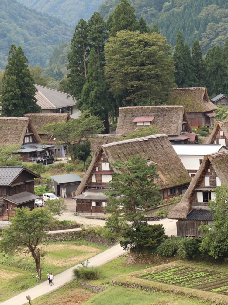 [画像1]富山県南砺市、相倉集落展望台からの景色。
