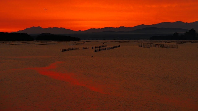[Image1]「朝焼けの七尾湾と北アルプス」上空が赤く染まってきました。海も赤く照らされています。後方の北アルプスは左が妙高連峰（火打山、焼山、妙高山）、右に白馬連山北端の山々が見えています。七尾湾岸にて撮影。