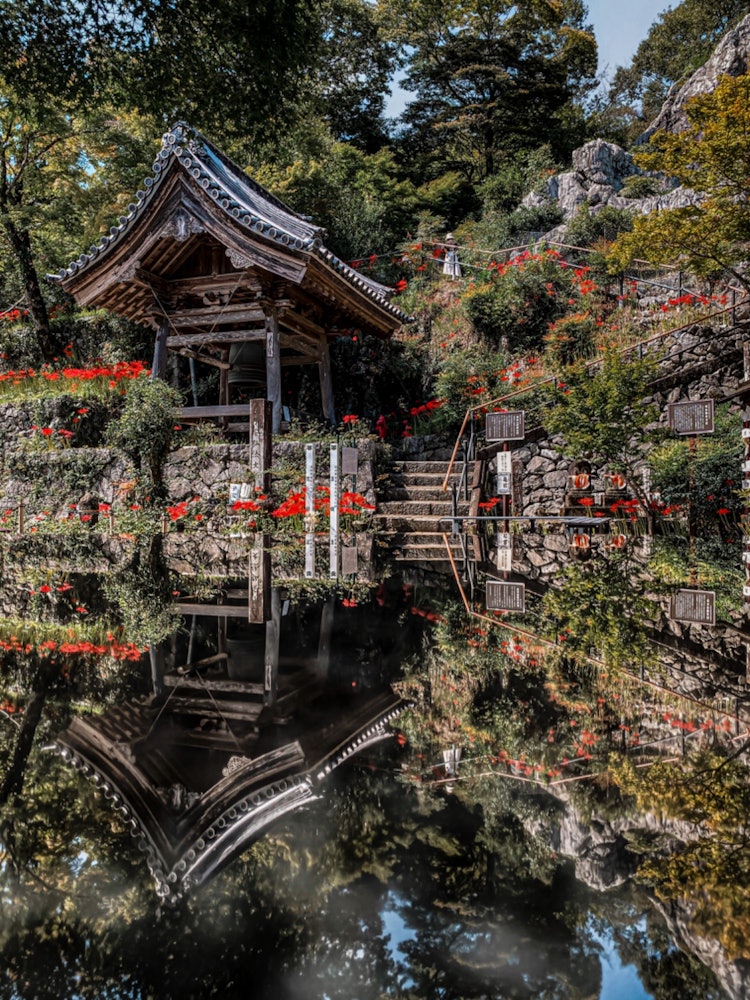 [画像1]この時期は赤色に囲まれる素敵なお寺さんです。 大理石のテーブルでリフレクション✨岐阜県大垣市　明星輪寺