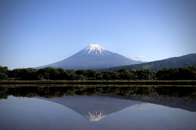 [相片1]在水稻種植之前，晴朗的天空，沒有風，您可以在靜岡縣富士市看到富士山的壯麗水鏡。豪華的景象只持續很短的時間，直到風開始吹。