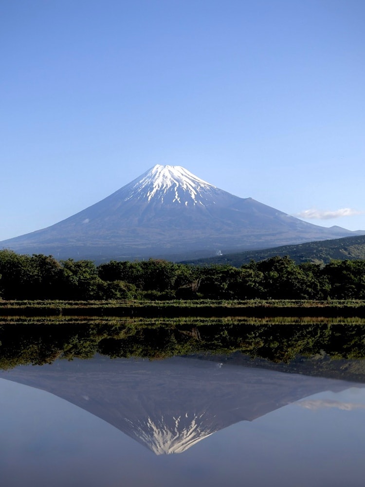 [Image1]Before rice planting, clear skies, and no wind, you can see the splendid water mirror of Mt. Fuji in