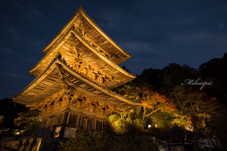 [相片1]#絕佳的視野 #攝影比賽它以奈良縣有許多希娜娃娃的寺廟而聞名。這是在椿坂寺拍攝的紅葉和塔的照片。有一尊泰國佛像，如何美麗地照亮它它非常美麗，我認為毫不誇張地說，這是日本的絕妙景色。