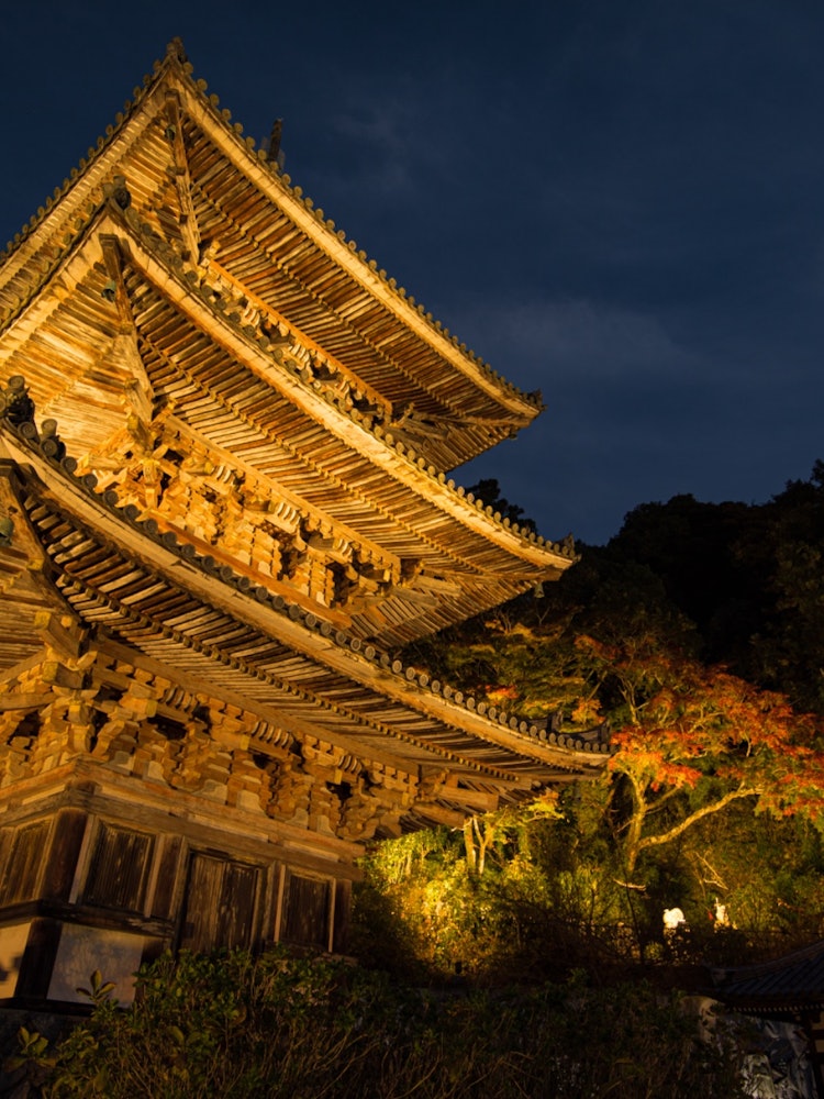 [Image1]#Superb view #Photo contestIt is famous for a temple with many Hina dolls in Nara Prefecture.This is