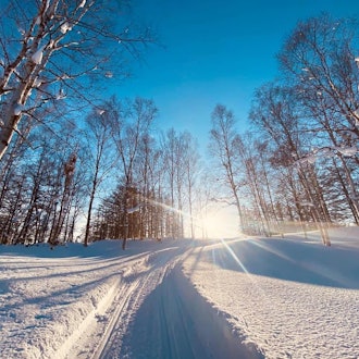 [相片2]新雪谷村被称为全球冬季度假胜地。在新雪谷村滑雪场享受冬季运动，如滑雪，单板滑雪，雪地摩托和雪鞋行走，这是一个俯瞰羊蹄山的粉雪圣地。新雪谷村滑雪场通常在12月初至4月初开放，2022年季节定于2022年