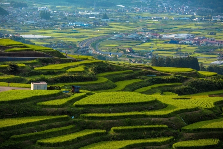 [Image1]Terraced rice fields in Obasute, NaganoA trip of memories, a place I want to visit again when Corona