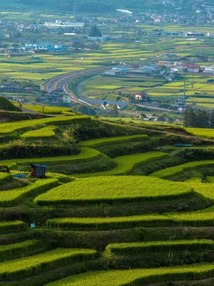 [Image1]Terraced rice fields in Obasute, NaganoA trip of memories, a place I want to visit again when Corona