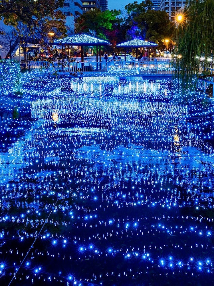 [相片1]冈山市北区的西川绿道公园，今年的灯饰比往年更美丽。