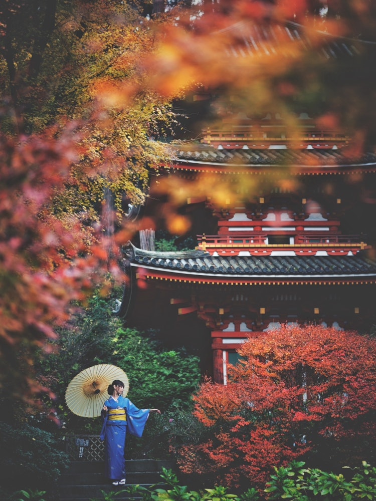 [相片1]京都 / 岩船寺被五顏六色的秋葉環繞的三重塔 ✨我能感受到山寺的氣氛