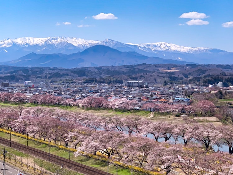 [Image1]This is the view from Funaoka Castle Park.During the cherry blossom season every year, you can see a