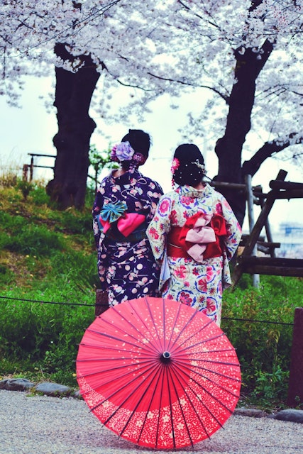 [画像1]日本での心に響く思い出の1つで、永遠に心に留めておきたいのは、東京への春の旅行です。旅行中、妻と彼女の友人は日本の着物を着て桜を楽しんでいました。それは私たちに日本の本格的で伝統的な魅力を与えてくれま