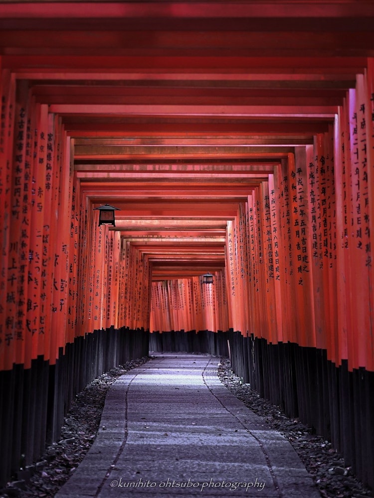 [Image1].＊＊＊「Senbon Torii 」Location: Fushimi Inari Taisha Shrine, Fushimi-ku, Kyoto＊＊＊～ Senbon torii are a s