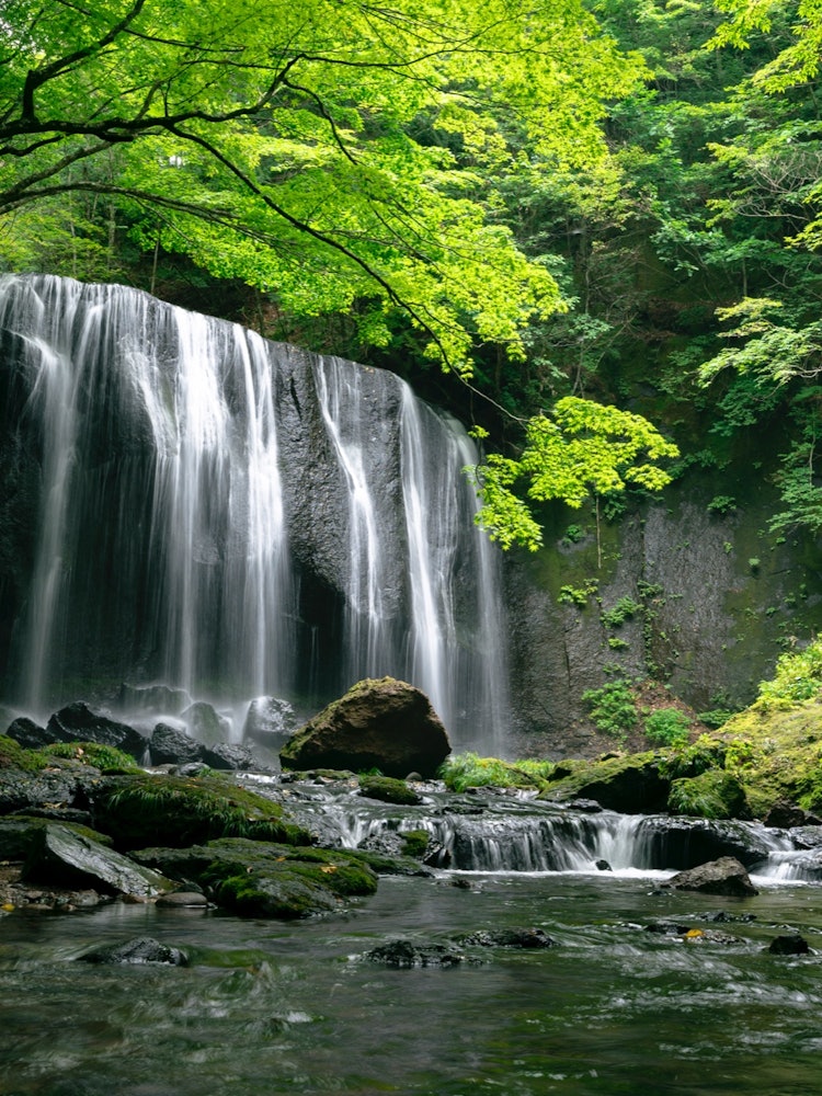 [Image1]Summer resortTatsusawa Fudo Falls in Fukushima PrefectureThe waterfall flowing down the rock surface