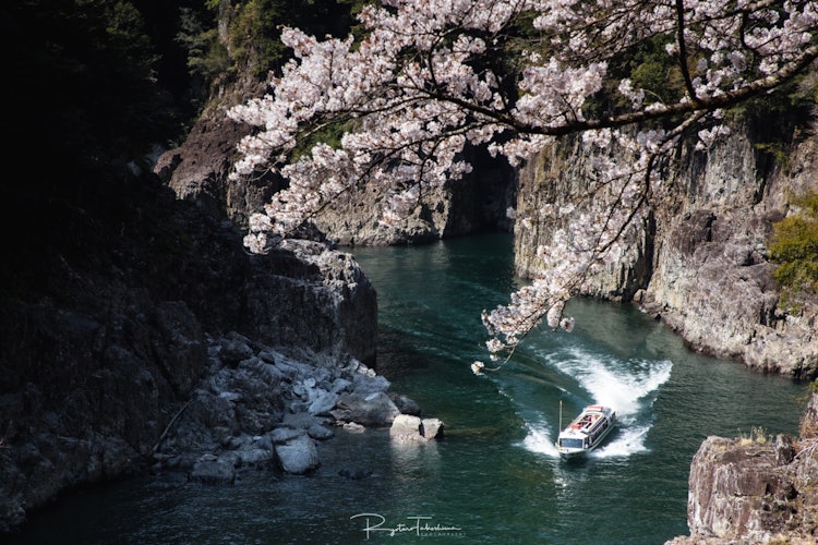 [相片1]道罗京横跨奈良、三重、和歌山三个县。乘坐观光船悠闲地游览山谷怎么样？