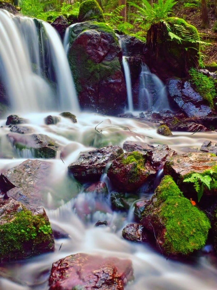 [画像1]【瓜割の滝】福井県若狭町にある瓜割の滝です。瓜が割れるほど冷たい水という意味で、瓜割の滝と名前がついています。夏に訪れたのですが、滝近辺は涼しくて、避暑地には最高な場所でした！
