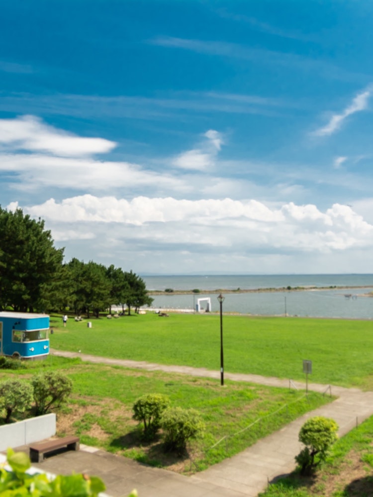 [画像1]葛西臨海公園の展望台から海を眺めています。手前の緑色の芝生が広がる台地、遠くに広がる青い大海原、絶景です。