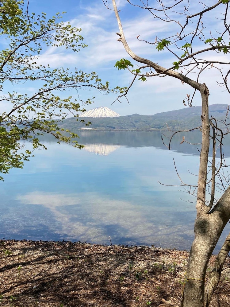 [画像1]洞爺湖汽船で中島へ渡り、3時間で島を一周するトレッキングをしました。1時間以上歩き、中島の船着場の反対側にある湖岸に到着。そこから見る春の羊蹄山(蝦夷富士)が湖に映り、まるで逆さ富士のよう。残雪が残る