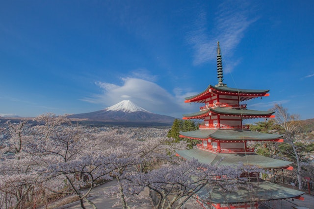 [Image1]日本の春の代表の一つである。五重塔（忠霊塔）と桜と富士山。新倉山浅間公園は日本を代表する富士山の絶景スポットとして有名である。398段の階段を上った先にある展望デッキからは眼下に富士吉田の街並み、その