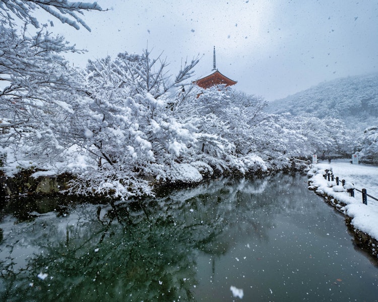 [画像1]おなじく清水寺 雪景色です