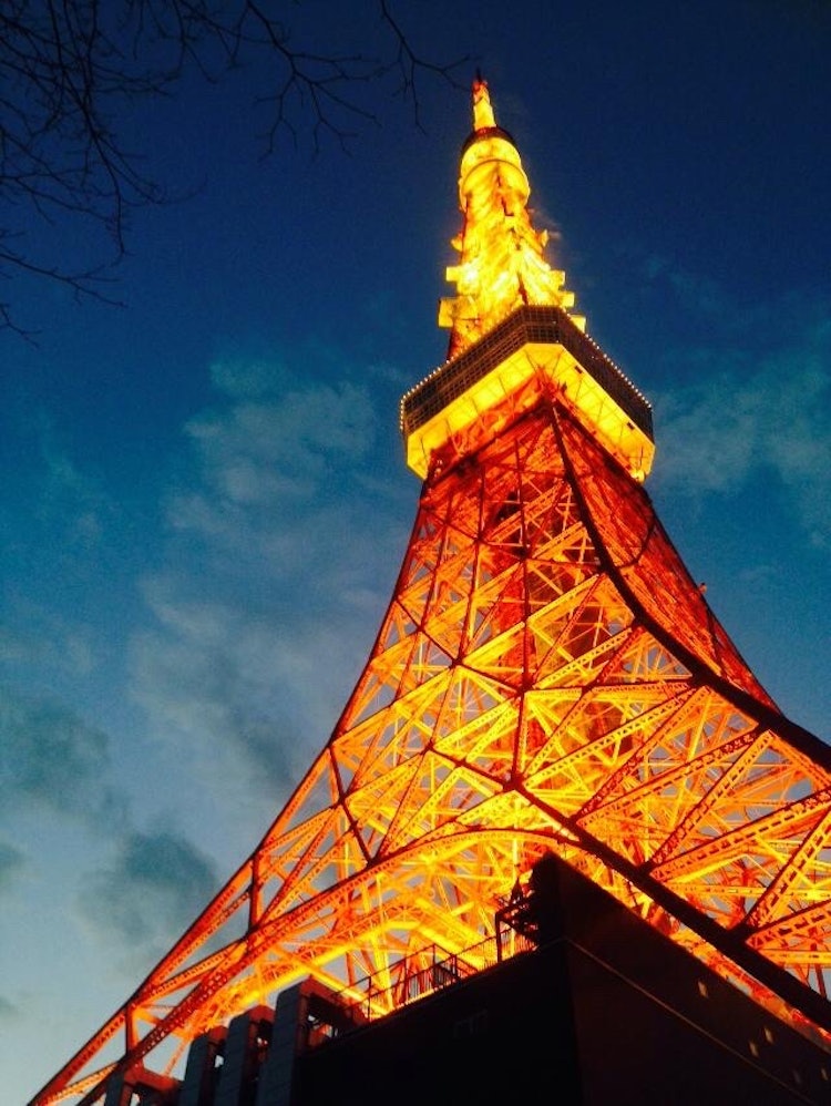 [画像1]スカイツリーができても，やっぱり東京タワーが好き#東京タワー#残したい