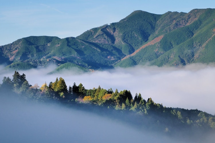 [相片1]熊野古道中别寺球场的高原地区被称为迷雾村。 雨后第二天寒冷的清晨，您可能会遇到美丽的云海。