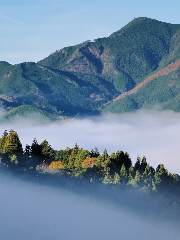 [Image1]The Takahara area of the Kumano Kodo Nakabeji Course is known as the Village of Mist. In the early m