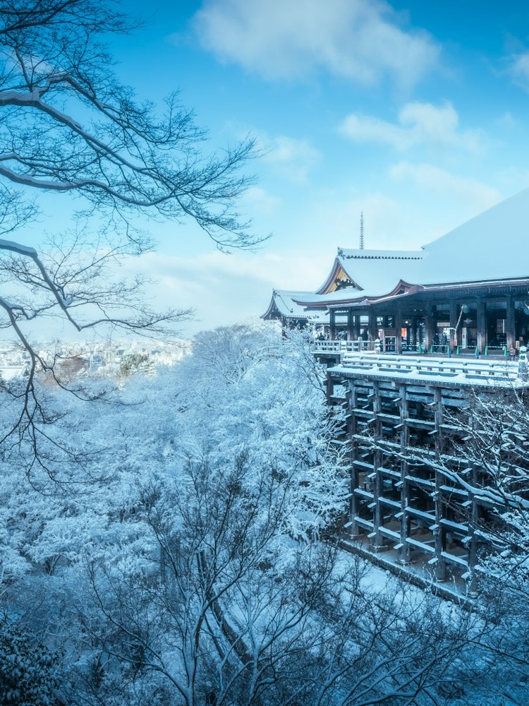 [Image1]【Silver World】Kiyomizu-dera Temple is one of the most famous temples in Kyoto.I was disappointed tha