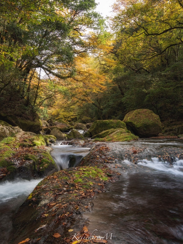 [画像1]夏の光芒が有名な菊池渓谷ですが、秋の紅葉もまた美しい場所です。遊歩道を散歩しながら川の流れと紅葉に秋を感じる事ができます。