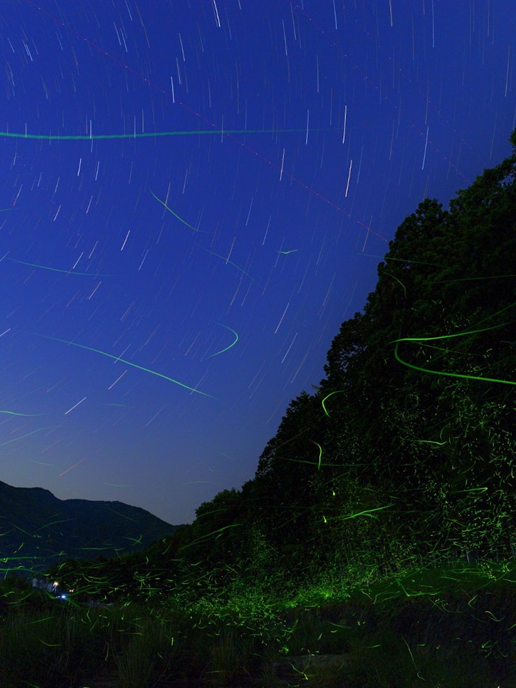 [画像1]兵庫県西脇市にある畑谷川のホタル有名なスポットでこの日も多くの方が鑑賞にこられてて星の軌跡と演出してみました。個人的には姫ホタルの方が好きです。