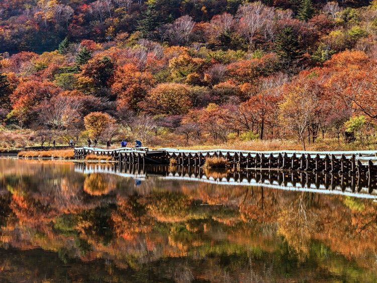 [Image1]Late autumn foliage reflectionKakumanbuchi in the middle of Mt. AkagiA wetland called a small Oze wi
