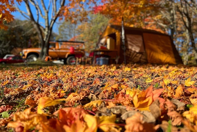 [Image1]自慢の愛車とお気に入りのテント落ち葉の感触と清々しいほど澄んでいる空気最高のキャンプ日和でした。