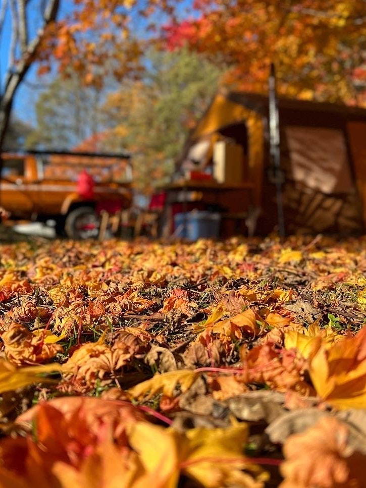 [画像1]自慢の愛車とお気に入りのテント落ち葉の感触と清々しいほど澄んでいる空気最高のキャンプ日和でした。