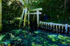 [이미지2]나는 가시마 신궁에 갔다 🙏[니시 이치노토리이 문] 키타 우라와 내 차 레거시 B4🚙에 내장그리고 오쿠노인 끝에 있는 [미타라이 연못]과 전경의 도리이가 왠지 주홍색으로 칠해지지 
