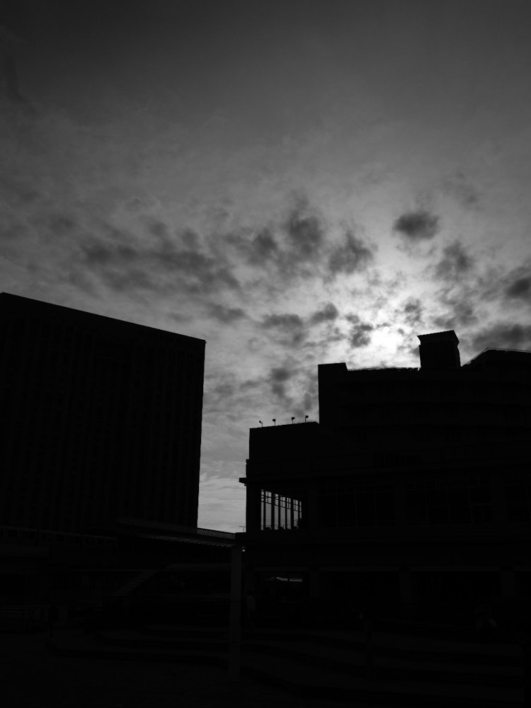 [Image1]Odaiba in monochrome at noonI also like the under-the-creepy world.