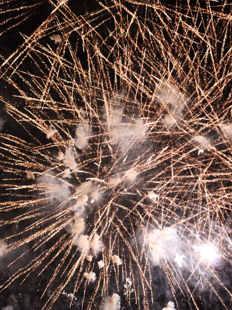 [Image1]- Full fireworks, all-out summer -I felt as if I was watching the fireworks of the summer festival c