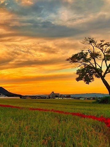 [画像1]奈良県明日香村夕方から行きましたので短時間で青空から空が焼けていきました。