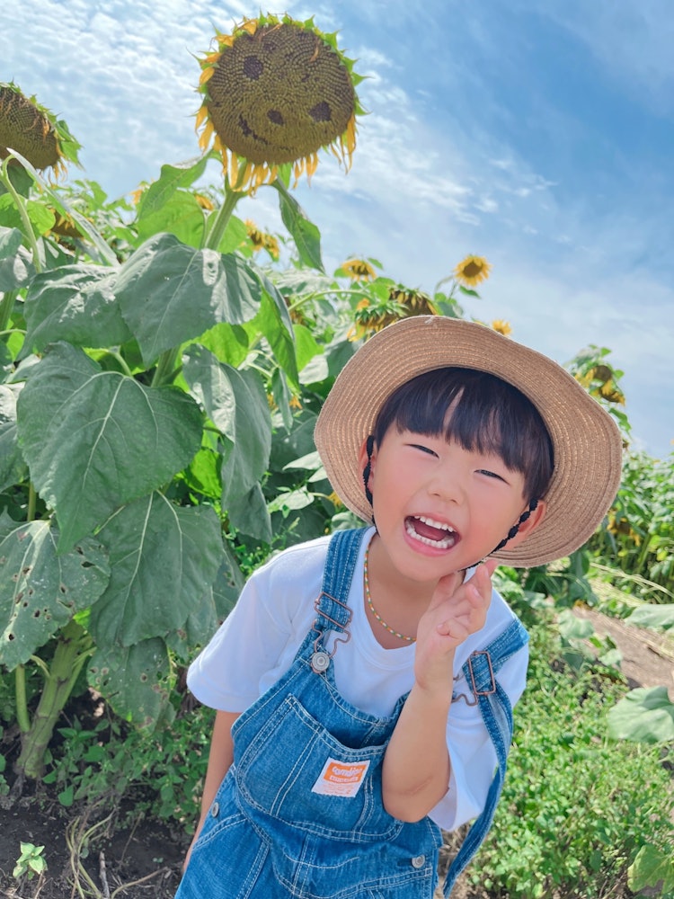 [Image1]Sunflower field near your houseThe sunflowers are limp in the heatMy son has a smile that blows away