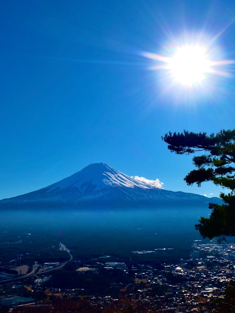 [相片1]在一次学校旅行中，我从河口湖的全景索道上拍摄了这张照片。第一次看到富士山给我留下了深刻的印象！