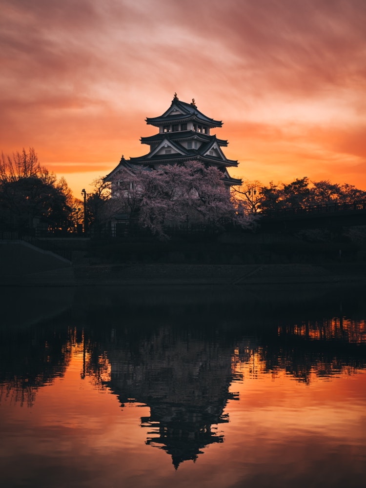 [Image1]Wonderful sunrise and castle and cherry blossoms.Sony α7Rlll / 24-70 f2.8 GM / Lightroom classic