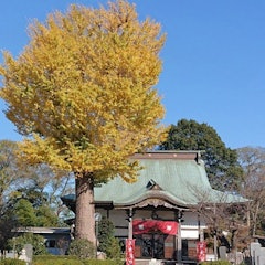 [Image2]ŌtōinThe founding of Oto-in is unknown, but it is believed that it was built in the Nara and Heian p