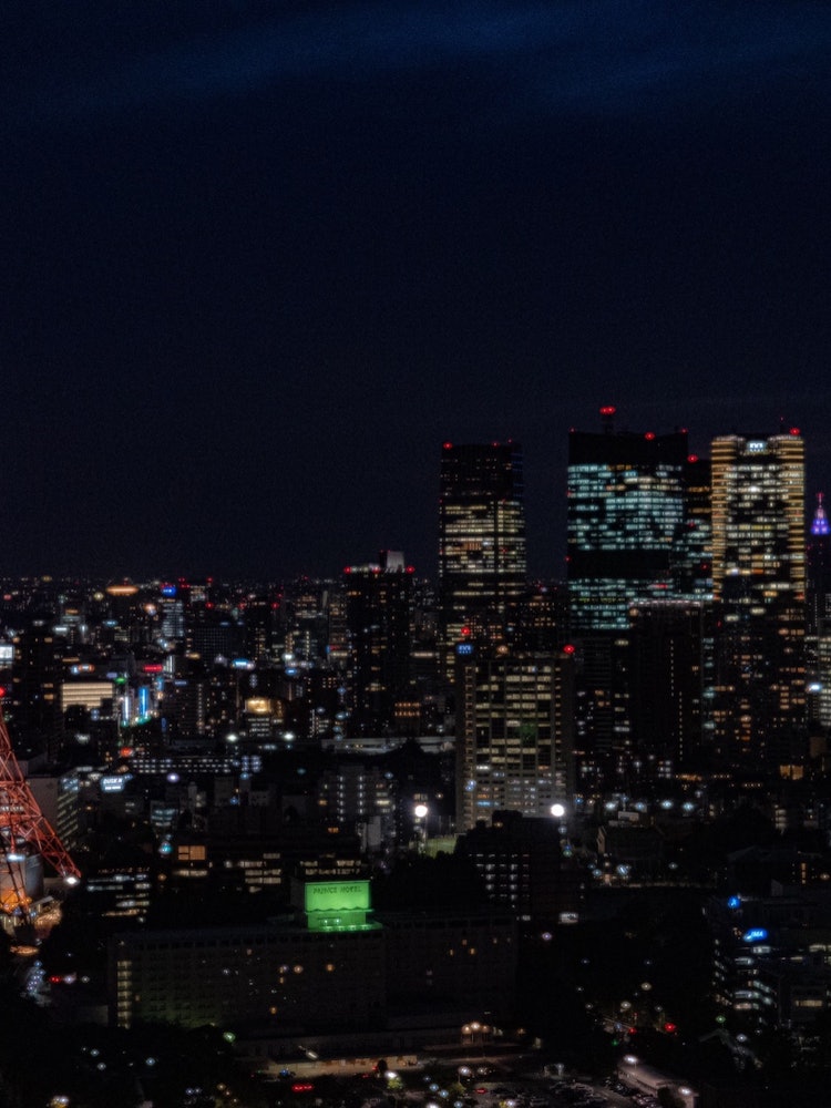 [画像1]浜松町にある世界貿易センタービルの展望台から撮影しました。東京の夜景は綺麗ですね。撮影機材 SONY α7III編集ソフト Lightroom