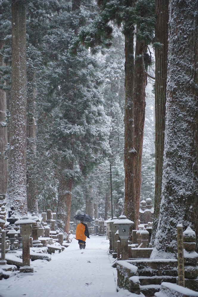 [画像1]高野山の冬景色、奥の院参道を行く僧侶。